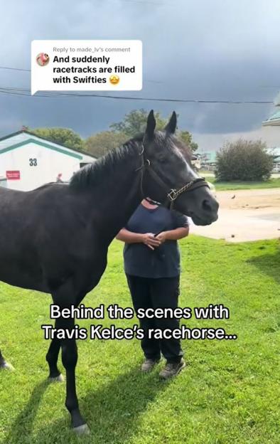 Travis Kelce's racehorse.