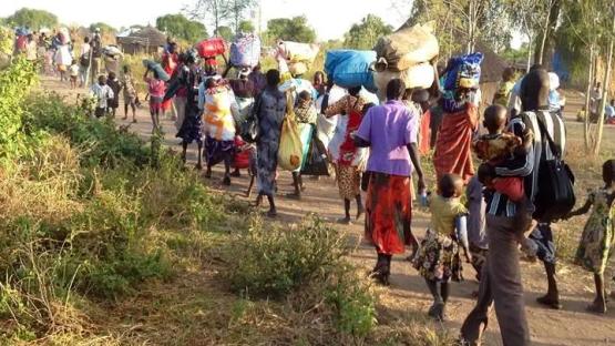 Traditional leaders call for dialogue to resolve Tiv/Jukun conflict in Taraba