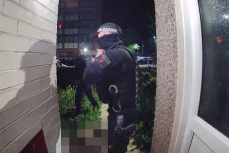 Out-of-control American Bulldog ATTACKED me after I moaned about its barking – cops had to shoot it dead