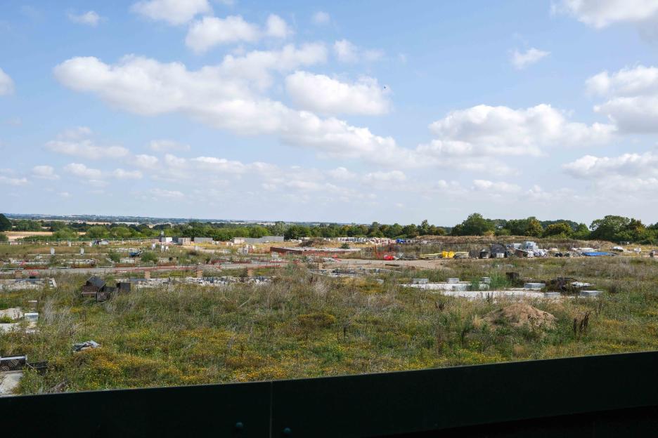 Abandoned construction site overgrown with weeds.
