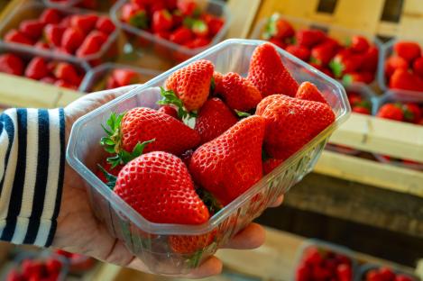 Hand holding a container of fresh strawberries.