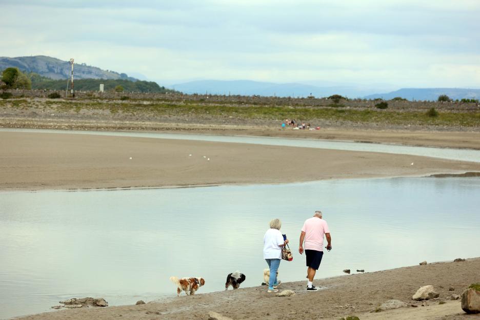 Couple walking dogs on a sandy beach near calm water.