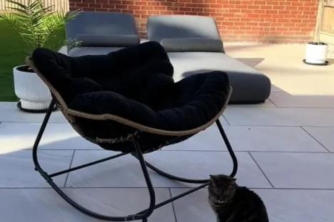 How to give your garden the ultimate glow up for summer using Temu buys, including a luxe rocking chair