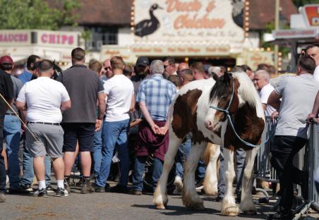 A piebald horse at a horse fair, surrounded by people.