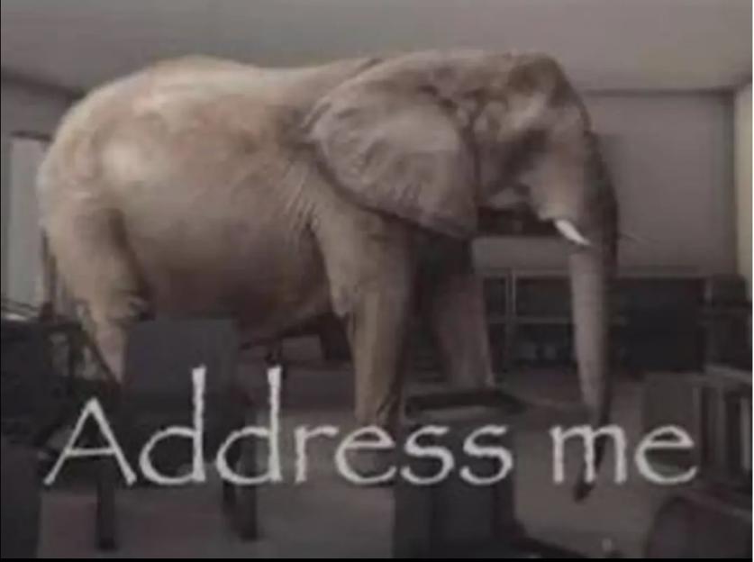 Elephant in a room, text overlay: "Address me"