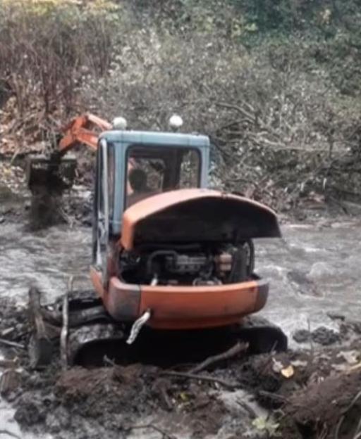 Shocking Moment: Neighbor Wrecks Garden and Topples Trees with Digger in Ongoing Four-Year Feud