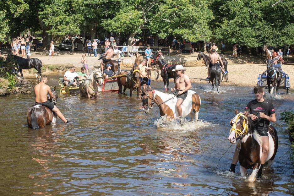 Horses and riders wading through a river.