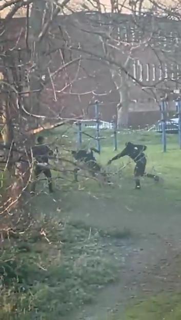 Video still of a machete attack in a park.