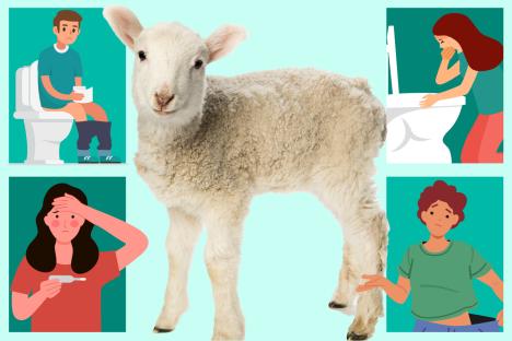 The 8 signs of highly-contagious parasite infection that struck 28 after petting lambs in UK farm