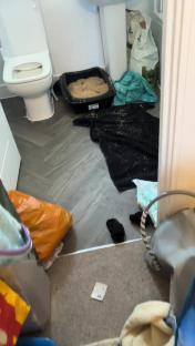 Messy bathroom floor with cat litter scattered around a litter box.