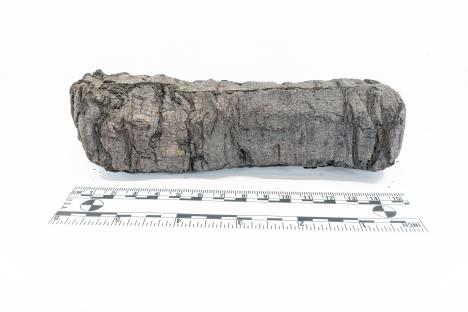 Title of scroll burnt to a crisp by Mt Vesuvius 2,000 years ago finally read by AI – & we even know who wrote them