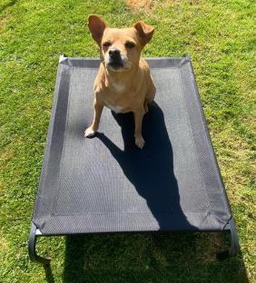 best-pet-cooling-mat