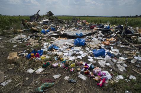 Debris from the crash site of Flight MH17 in a sunflower field.