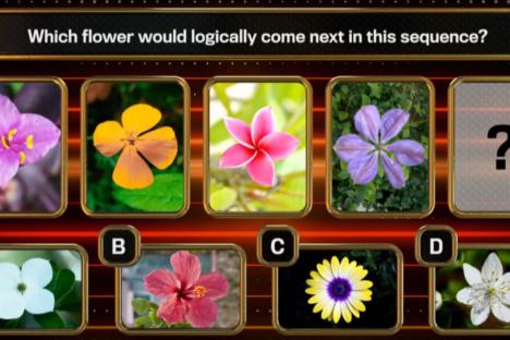 The 1% Club wipes out 10 players with tricky flowers question – but could you get the right answer in 30 seconds?