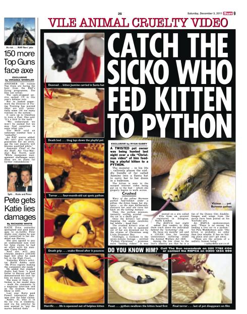 Newspaper clipping about a man who fed a kitten to a python.