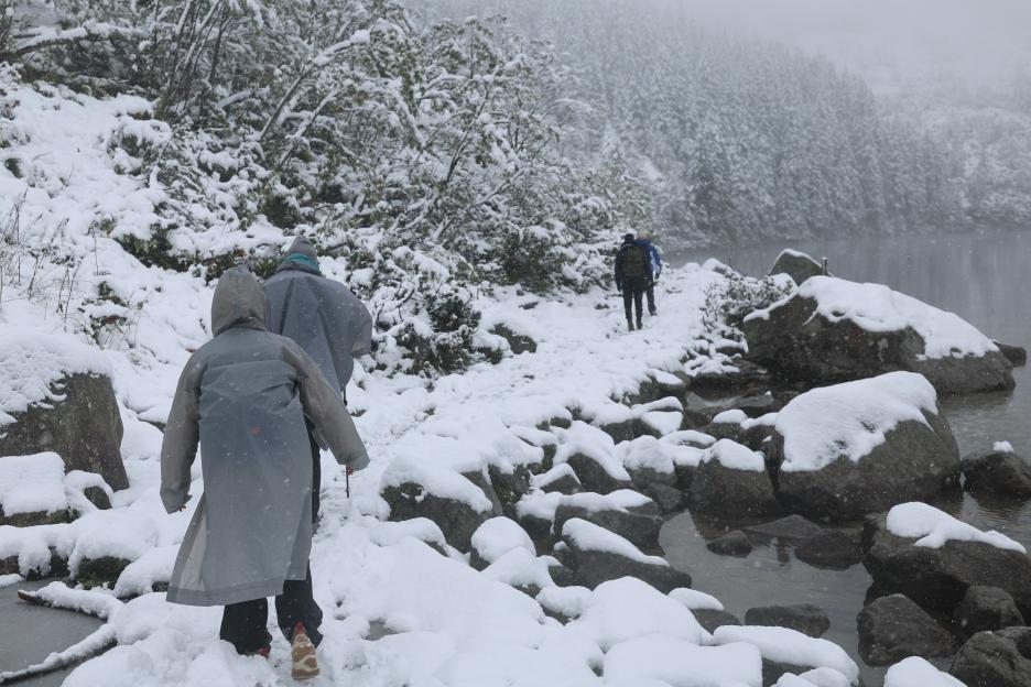 Red flowers covered with snow, with snow-covered mountains in the background.