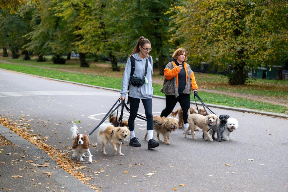 Anger after council introduces ‘dog ASBO’ across whole borough