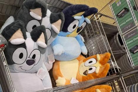 ‘OMG, need to go asap!’ shoppers gasp as THOSE Bluey chairs return to Aldi’s middle aisle & there’s a new character too