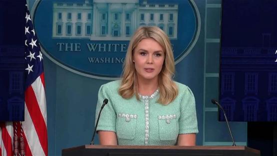 100 days in office: US records 99.99% reduction in illegal aliens’ entry under Trump — Press Sec Leavitt