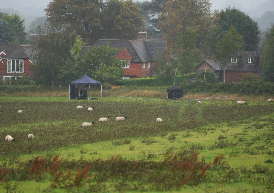 Police investigating a missing person in a field with sheep.