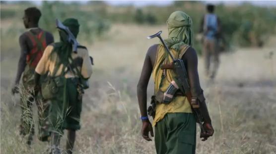 Armed herdsmen reportedly abduct chief’s wife, two others in Benue