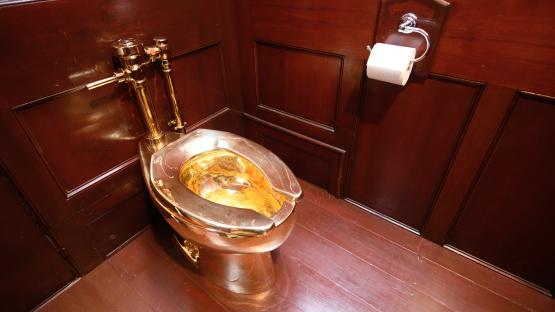 Who are Michael Jones and James Sheen? Men who plotted to steal gold toilet at Blenheim Palace