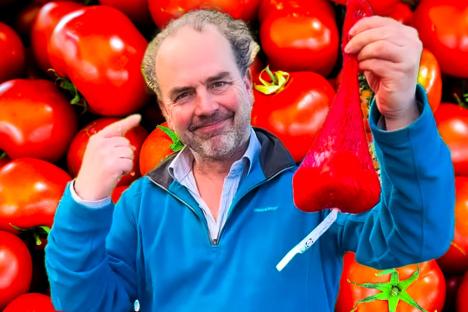 Gardening expert’s 99p Aldi hack will give you home-grown tomatoes all summer