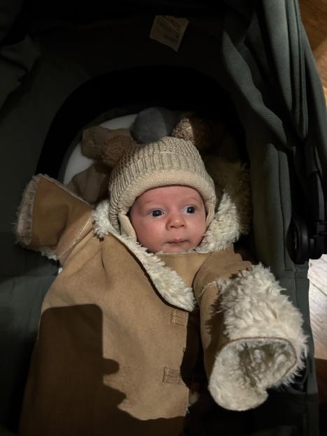 NINTCHDBPICT001036133779