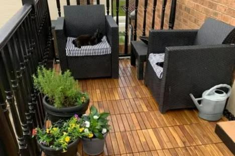 The £3.99 Aldi buy that will transform patios AND garden paths in seconds & turn your outdoor space into a chic haven