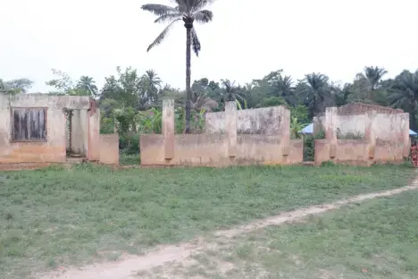 Snakes, lizards take over Benue public schools as teachers, pupils abandon classes 3