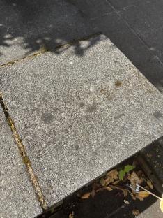Clean paving stone after cleaning attempts.