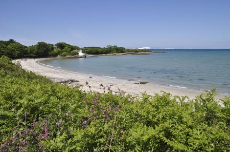 Sandy beach with a small white building and a ferry in the distance.