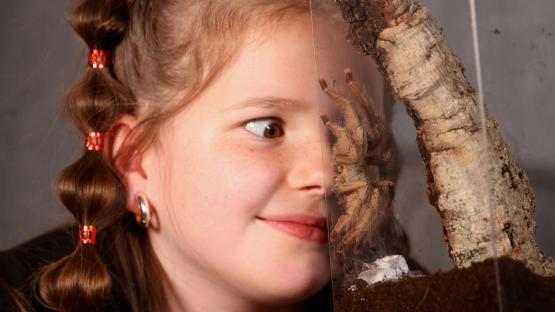 Girl, 9, catches pet bug by keeping 122 ‘cute’ tarantulas in her two-bed house
