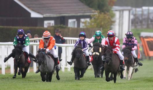 Jockeys racing Shetland ponies in the Moorcroft Racehorse Welfare Centre Shetland Pony Gold Cup.