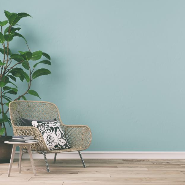 I’m an interiors expert – top 10 ‘edible’ paint colours for the ultimate trendy and cosy home