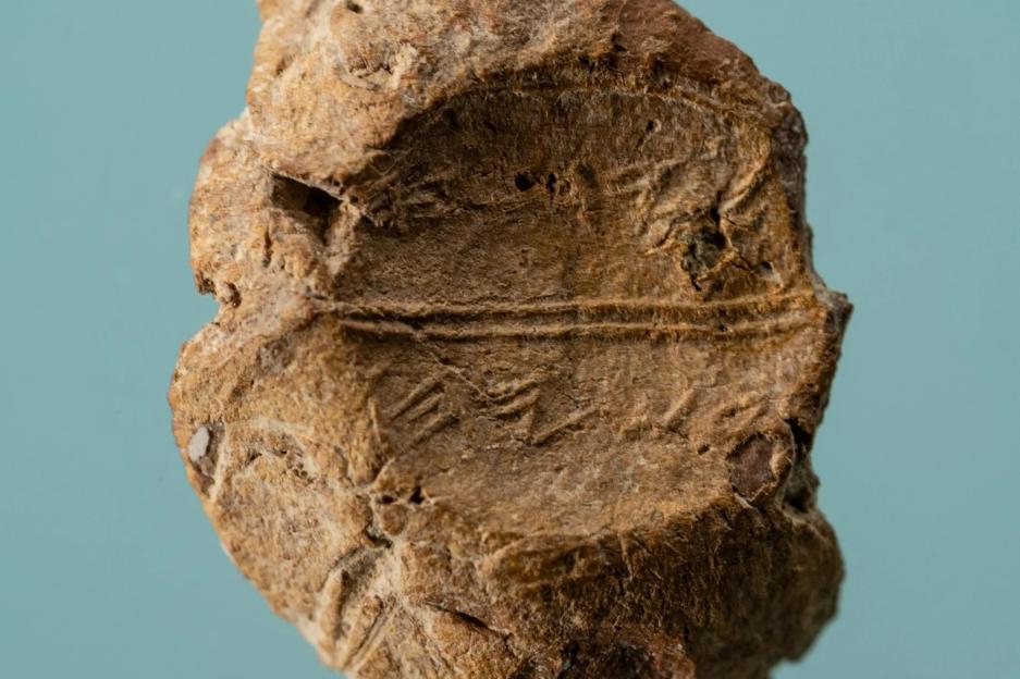 Ancient elite’s fingerprint found on LOST seal linked to mystery Biblical doomsday warning and hidden for 2,600 years