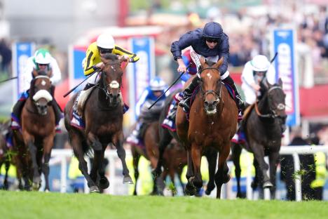 Templegate’s Epsom Derby tip, 1-2-3-4 prediction and complete runner-by-runner guide
