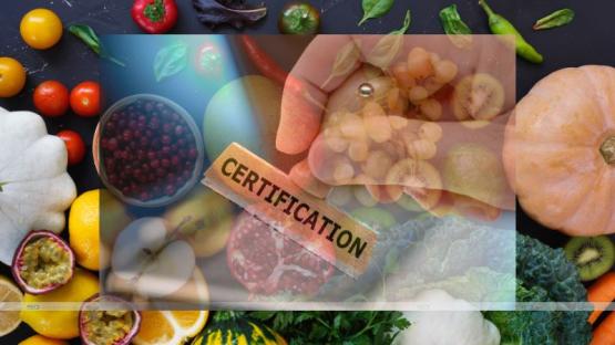 The Ultimate Guide to Nutrition Certification Programs: How to Choose the Right Path in 2025