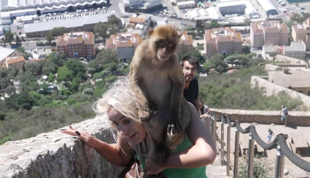 A monkey on a woman's shoulders with a man smiling in the background and a city in the distance.