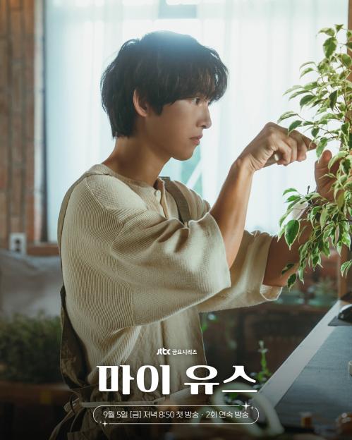 My-youth-4