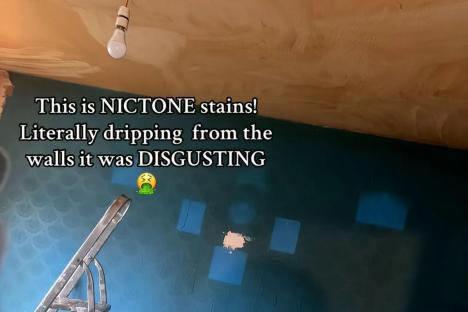My council flat was a STATE with nicotine stains dripping from the wall – but it got me an upgrade to a bigger place