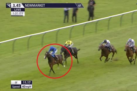 ‘The next Frankel?’ – Trainers give up and admit they can’t beat astonishing £1.7million horse likened to a ‘rocket’