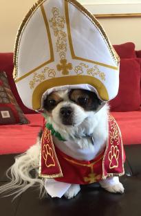 Dog dressed as the Pope.