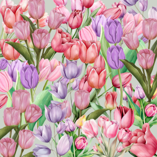 Illustration of pink and purple tulips.