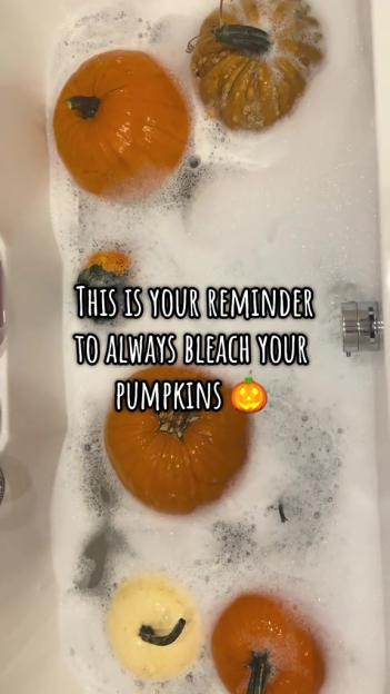 Several pumpkins and gourds soaking in a tub of foamy bleach water.