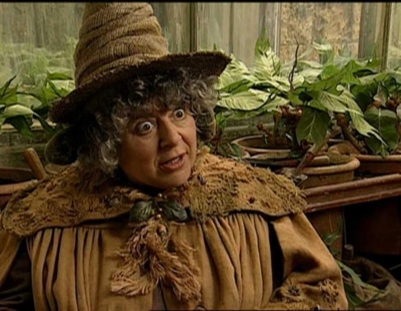 Miriam Margolyes as Professor Sprout in Harry Potter.