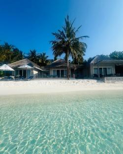 Beachfront bungalows with palm trees and clear water.