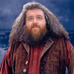 Portrait of Hagrid.
