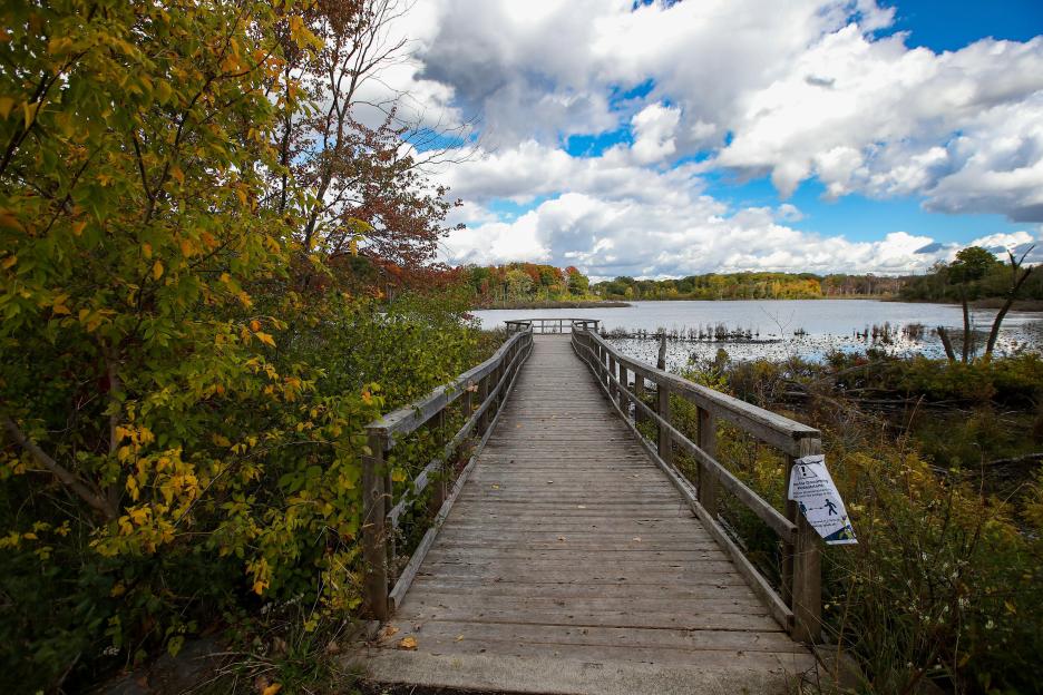 Wooden boardwalk over a pond in autumn.