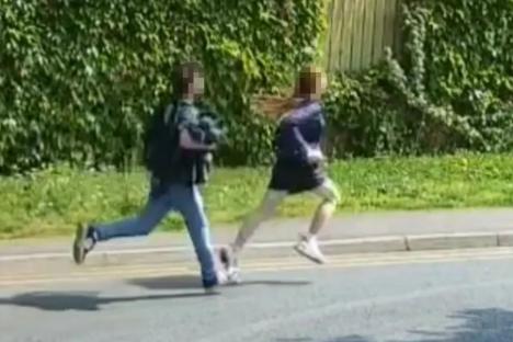 Teen girl and boy plead GUILTY to torturing, killing then dismembering two kittens after CCTV showed vile pair fleeing